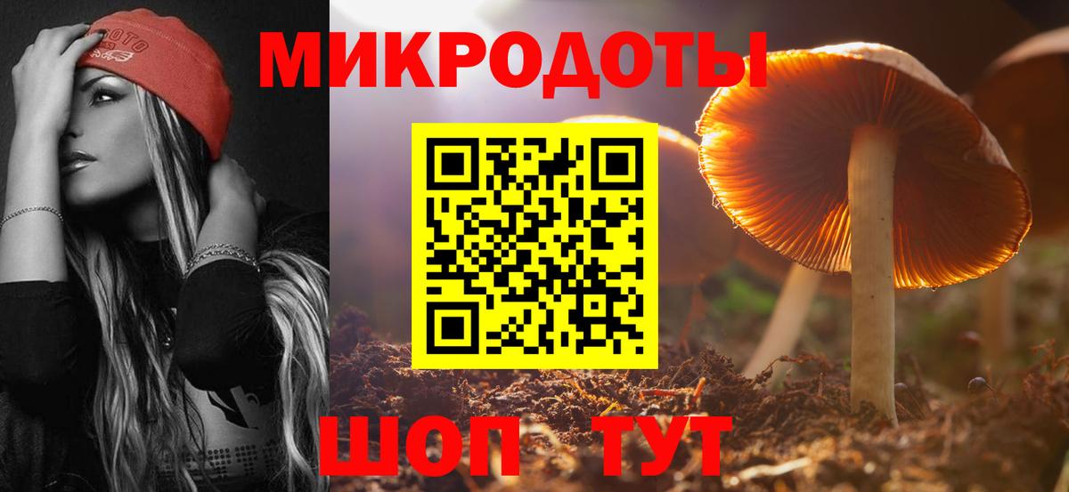 Псилоцибиновые грибы MAGIC MUSHROOMS  наркотики  Вязники  Псилоцибиновые грибы GOLDEN TEACHER  Вход с VPN 